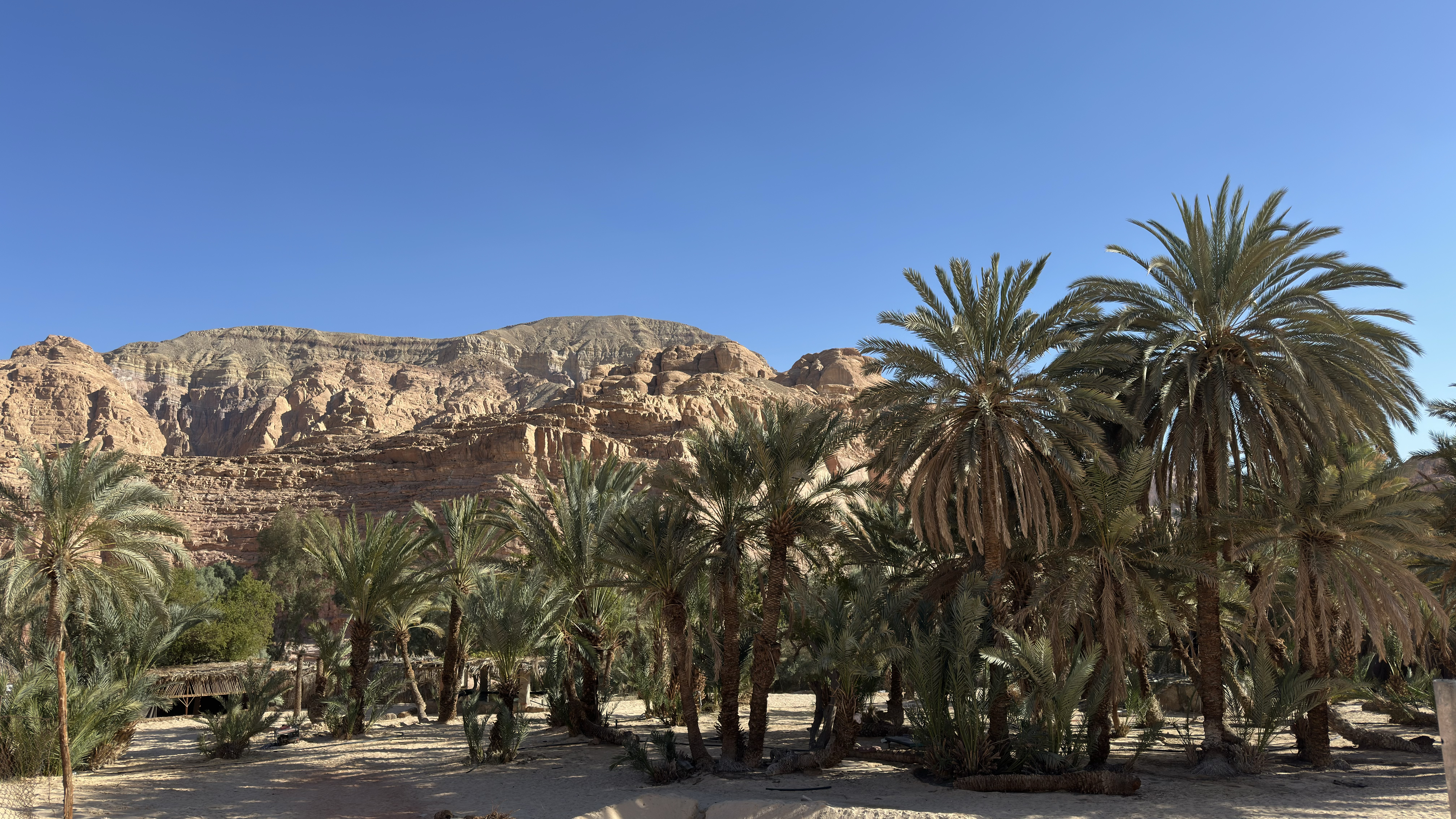 Sustainable Irrigated Agriculture for Smallholder Farmers in the Arid and Semi-Arid Areas of the Maekel, Anseba and Gash-Barka Regions (ARIS)